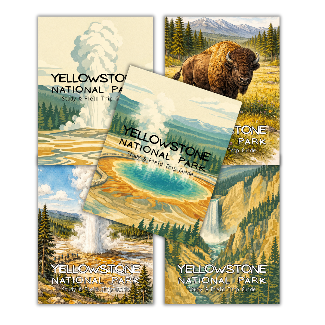 Yellowstone Field Trip Workbook - Image 4